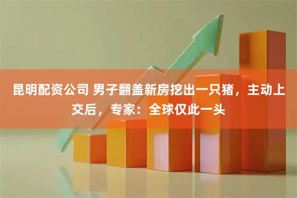 昆明配资公司 男子翻盖新房挖出一只猪，主动上交后，专家：全球仅此一头