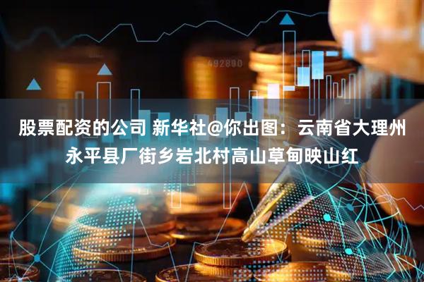 股票配资的公司 新华社@你出图：云南省大理州永平县厂街乡岩北村高山草甸映山红